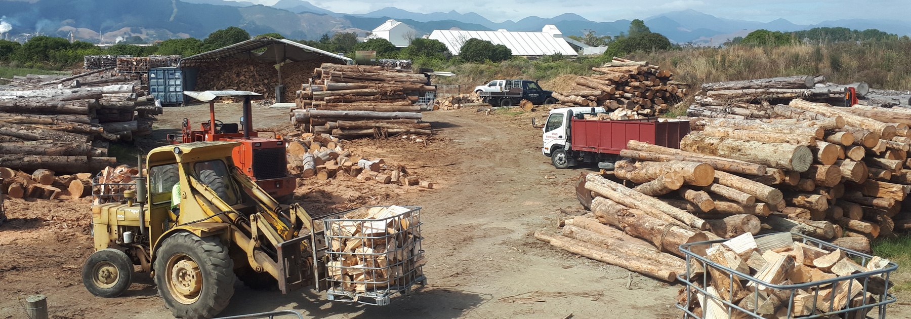 Firewood ready for winter