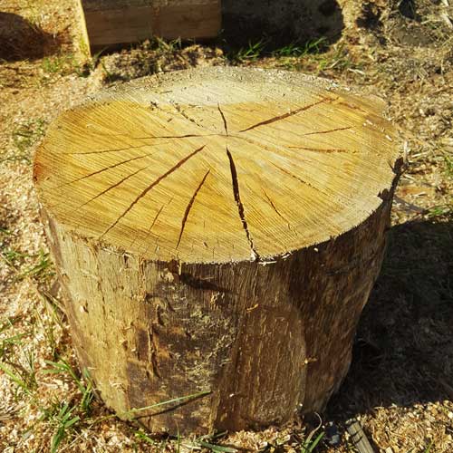 Hardwood firewood chopping block