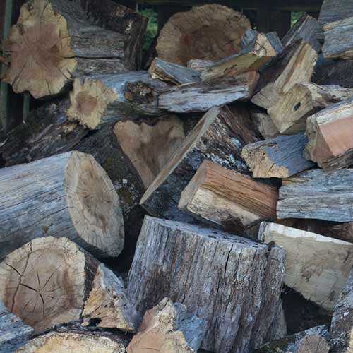 Winter Mixed Firewood